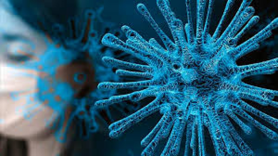 Koronavirusun hansı "növü" daha yoluxucudur?
