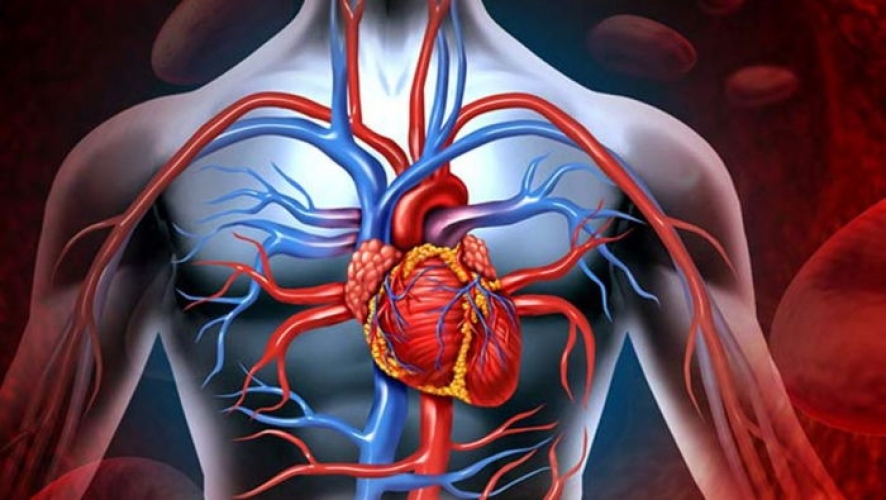 Ürək-damar xəstəliklərinin əsas səbəbləri: Bunları aradan qaldırmaq mümkündür?