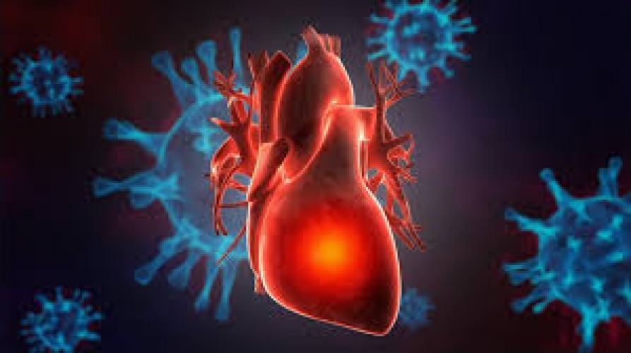 Ürək-damar xəstələrinin virusla bağlı riskləri: Kardioloqdan TÖVSİYƏLƏR
