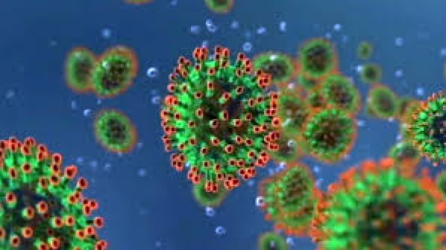 Koronavirusla bağlı 4 mif: Nələri düzgün bilmirik?