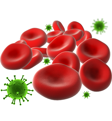 Koronavirus xəstələrinə immun plazma müalicəsi üçün kimlər donor ola bilər?